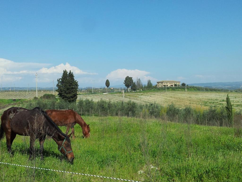 Agriturismo Macinatico サン・ジミニャーノ 部屋 写真